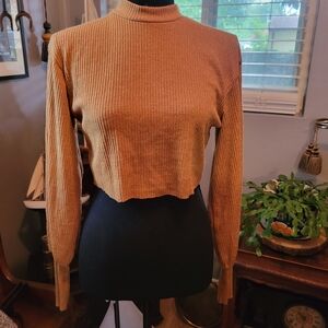 Ribbed Long Sleeve Crop Top in Tan